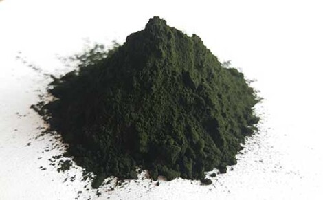 Chlorella Powder