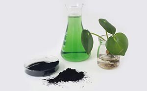 Sodium copper chlorophyllin